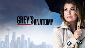 Grey’s Anatomy season 13 broadcast