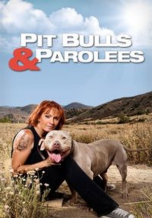 Pit Bulls and Parolees is officially renewed for season 9 to air in 2017